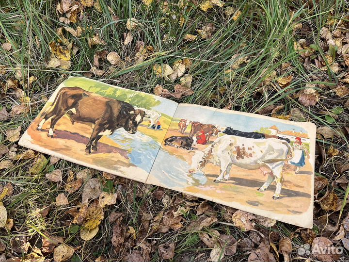 Книга домашние животные 1946 год