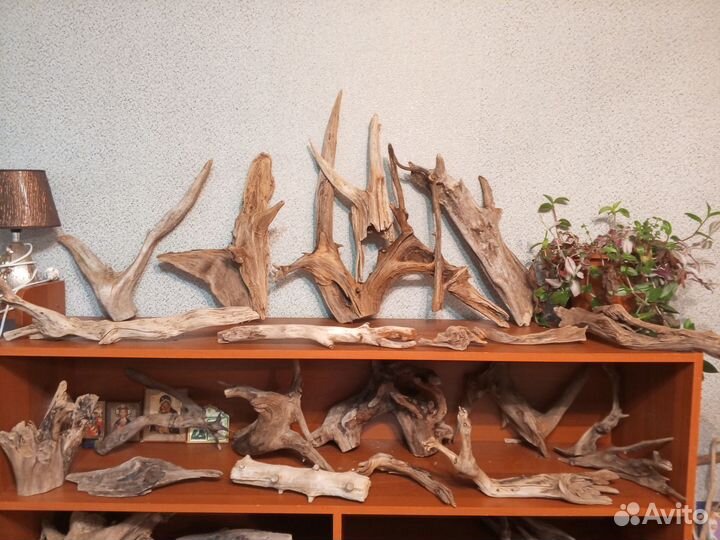 Коряги для аквариума Дерево Ольха и Ива