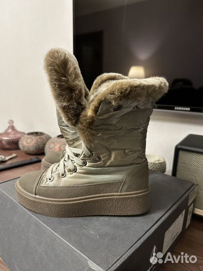 Jog dog 36 новые