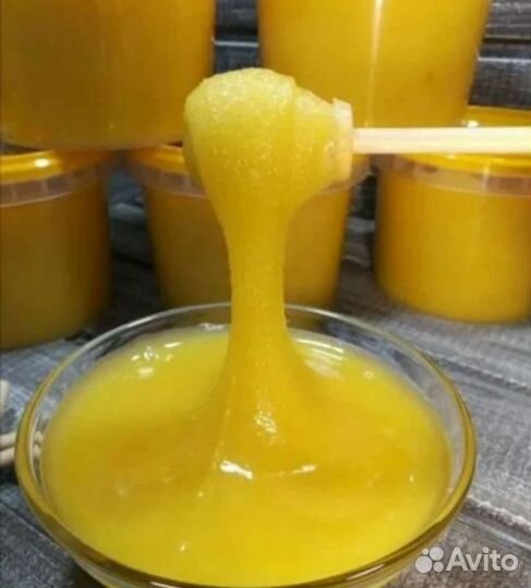 Мед подсолнечника