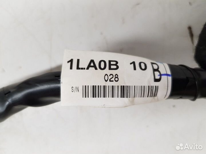 Электропроводка крышки багажника (Infiniti QX56)