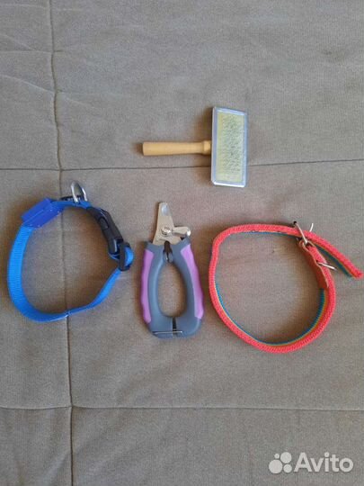 Вещи для собак