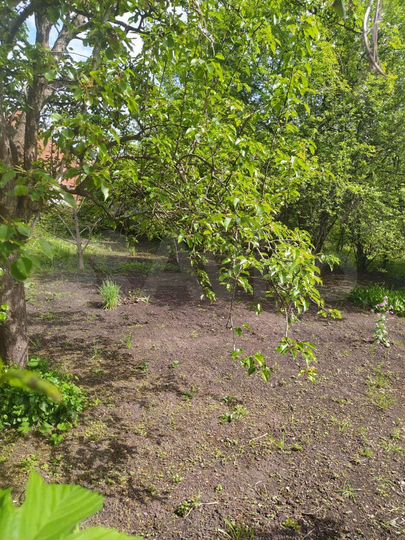 Участок 6 сот. (СНТ, ДНП)
