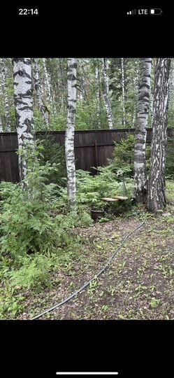 Дача 30 м² на участке 7 сот.