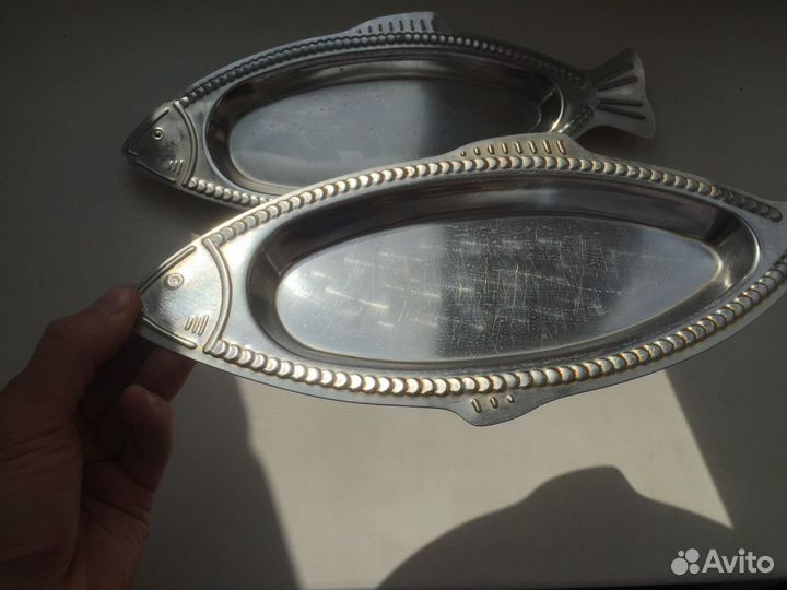 Рыбы селедочницы