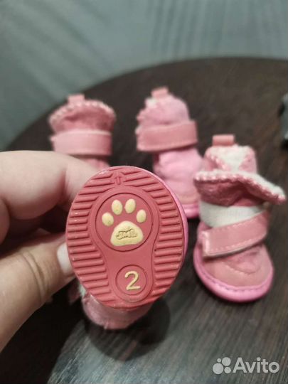 Ботинки для собак