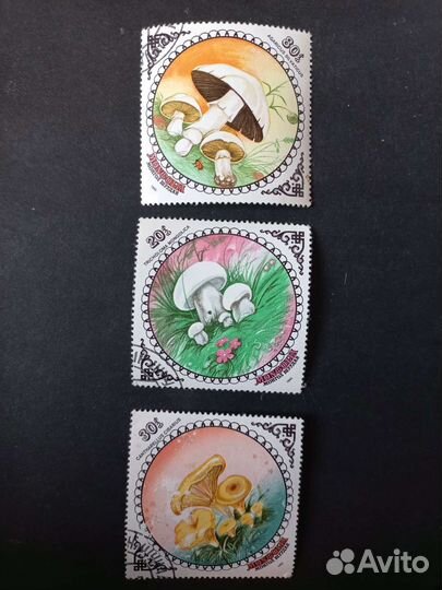 Марки 7 штук Mongolia Монголия грибы 1985