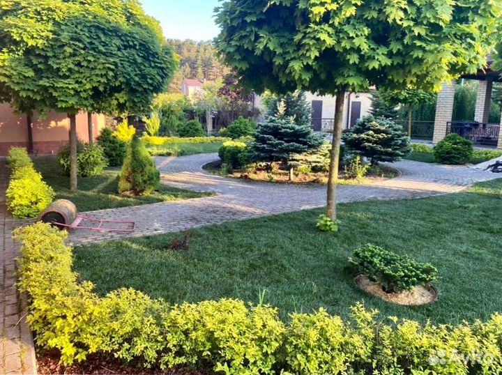 Рулонный газон 