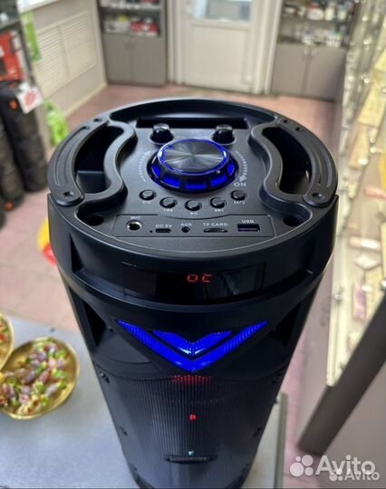 Колонка zqs6201 мощная большая