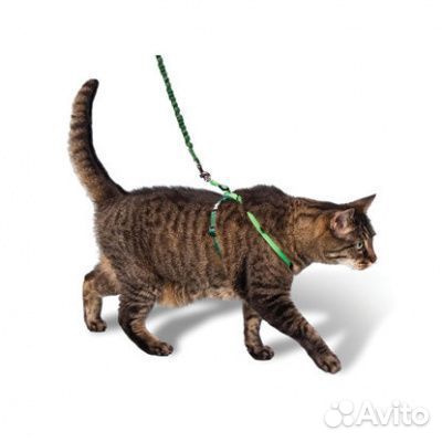 Поводок+шлейка
