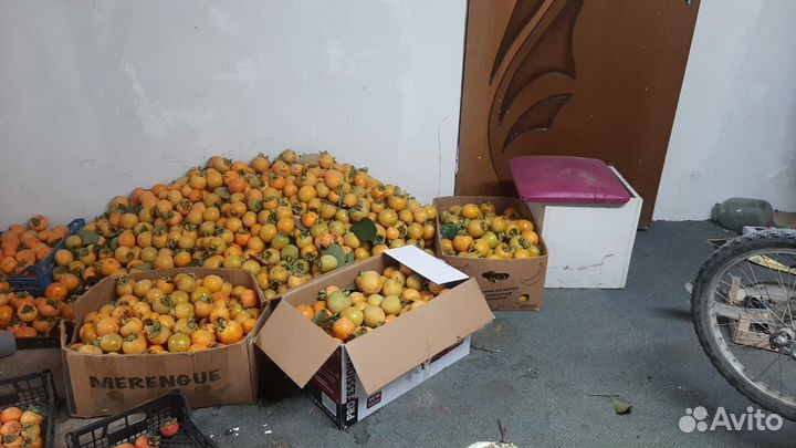 Хурма оптом