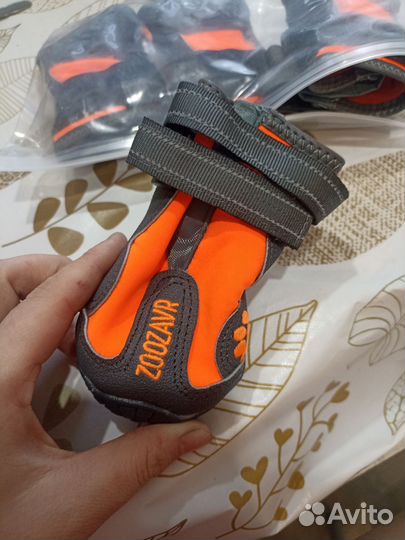 Ботинки для собак
