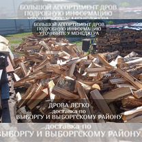 Дрова березовые хвойные Выборгский район