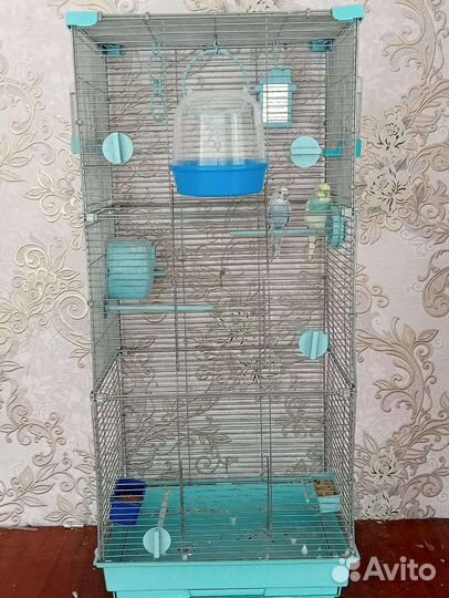 Клетка для крупного попугая