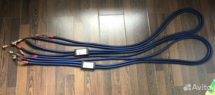 Fadel art stream duo