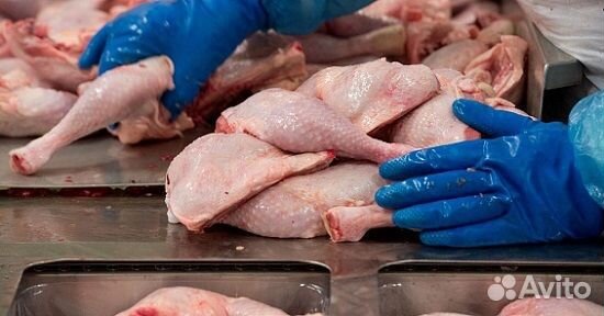 Оператор линии на птицефабрику / Вахта