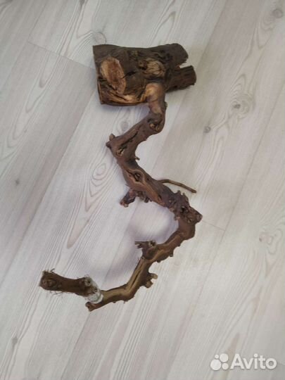 Для аквариума