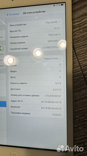 iPad mini 2