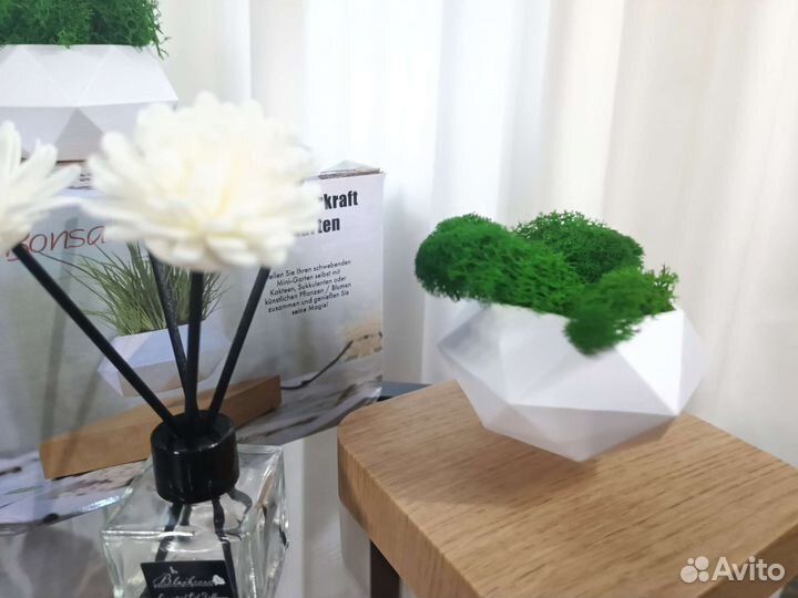 Левитирующий горшок