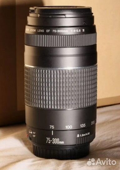 Canon EF 75-300mm F/4-5.6 III