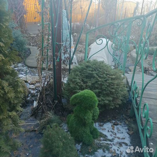 Топиари. 3D фигуры