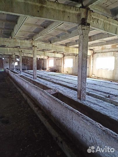 Фермерское хозяйства