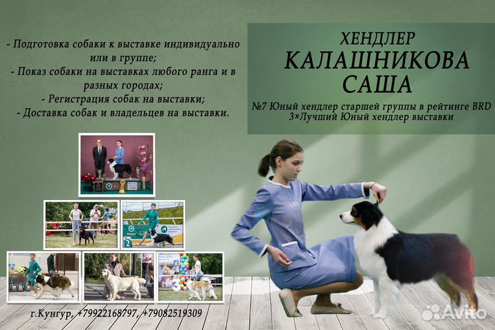 Услуги хендлера