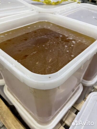 Акациевый мед свежий опт