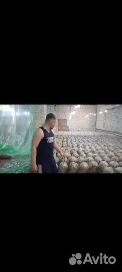 Требуются инвестиции аграрный бизнес 10% в месяц