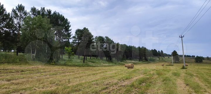 Участок 9 сот. (СНТ, ДНП)