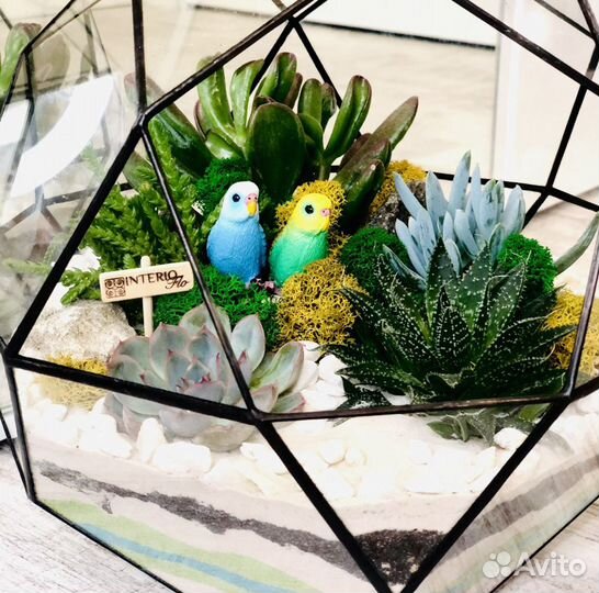 Флорариум в шаре