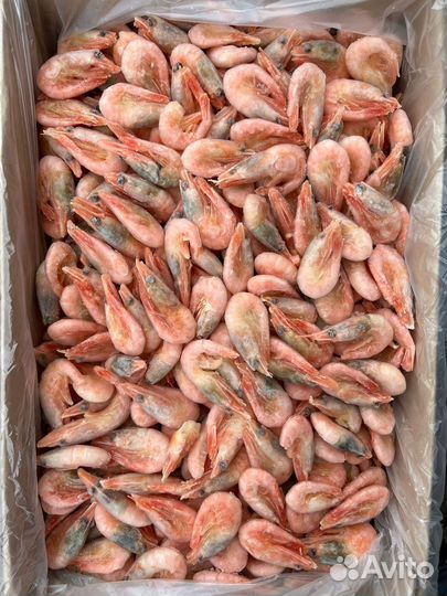 Креветка Северная Гренландия 80/100