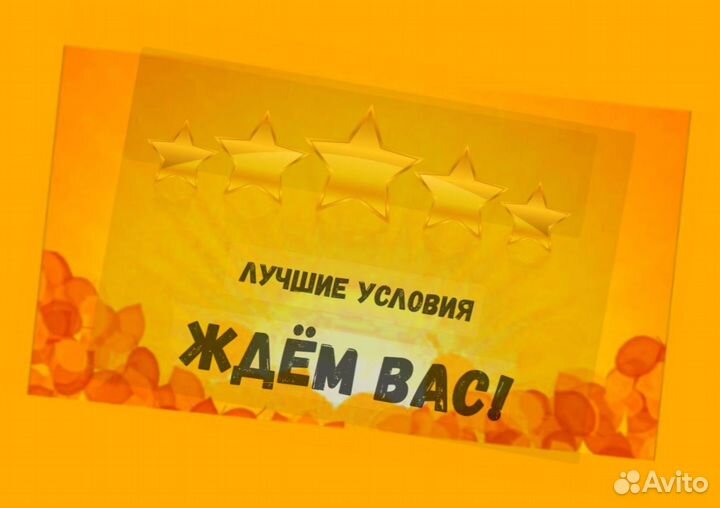 Упаковщик на склад Еженедельные выплаты Без опыта