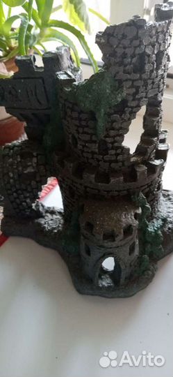 В аквариум