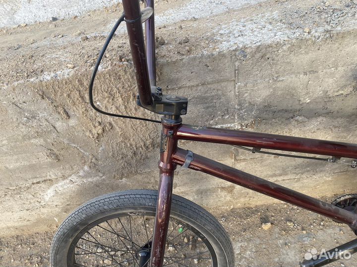 Bmx mongoose