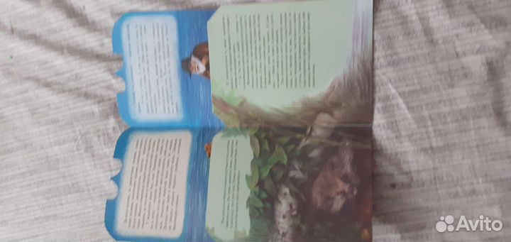 Десткие книги