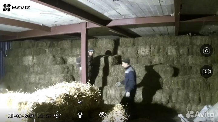 Сено солома в тюках