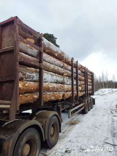 Пиловочник Деловой Кругляк