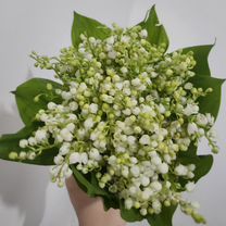 Ландыши букет, Махачкала