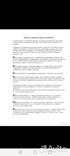 Коланхоэ лечебное