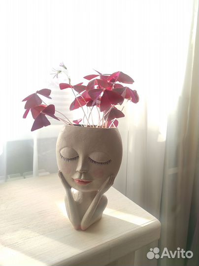 Мадам Баттерфляй