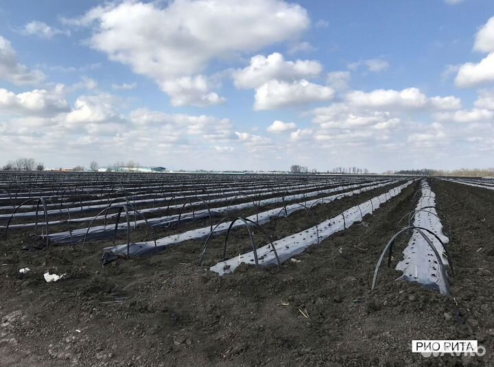 Дуги для парников и теплиц 6 мм