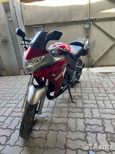 Racer Skyway 250