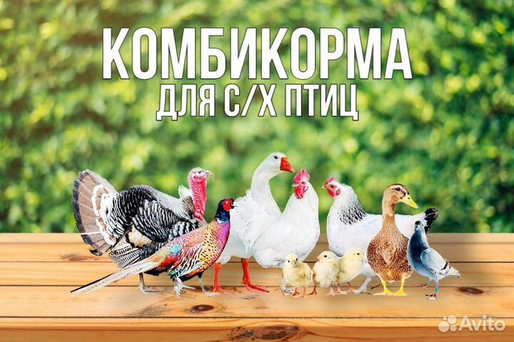 Комбикорм для птиц - старт рост финиш