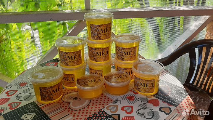 Продажа плодных маток Карника F1