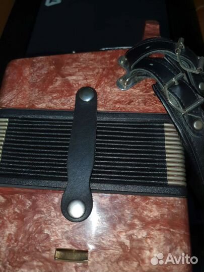 Гармонь чайка