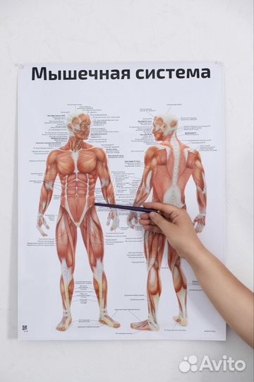 Массаж тела / массаж лица