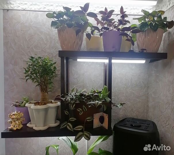 Полка для цветов