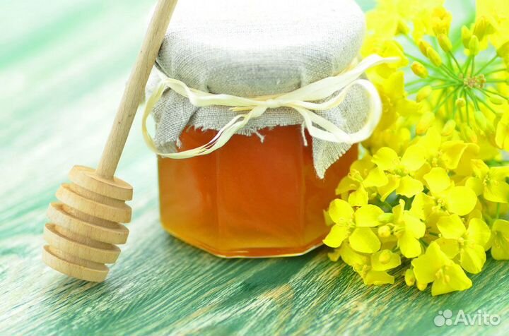 Мед 2023 года