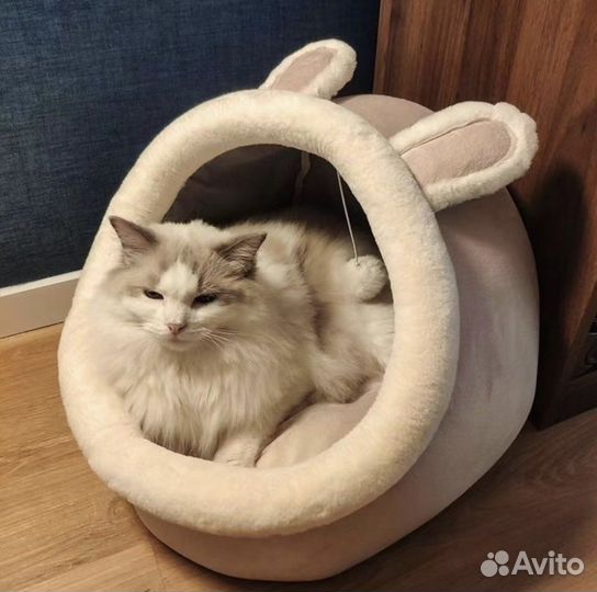 Кошачий и собачий домик